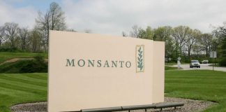 Putin is taking a bold step against biotech giant Monsanto