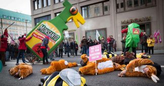 Commission  approves import of Monsanto GMOs