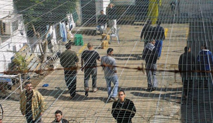 Over 100 Palestinian Political Prisoners on Hunger Strike