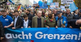 Why Germans vote AfD