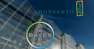 Trying to become owners of Life – Bayer/Monsanto’s marriage in hell