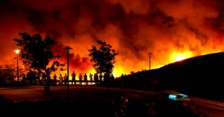 Portugal’s response to forest fires undermined by austerity