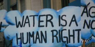 Nestle CEO: Water Is Not A Human Right, Should Be Privatized