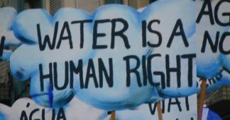 Nestle CEO: Water Is Not A Human Right, Should Be Privatized