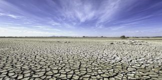 Open Letter Regarding Climate Change