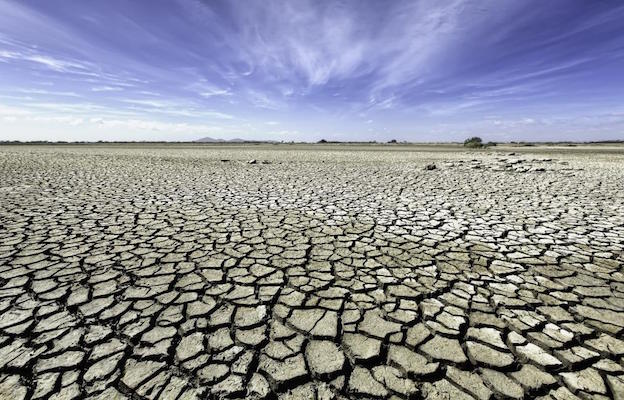 Responsible Scientists for Climate Sanity