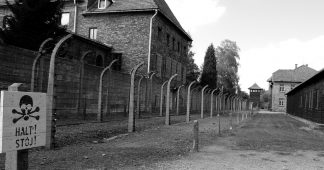Auschwitz: The Role of IG Farben-Bayer