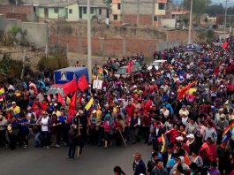 Bolivia and Equador: Recovering Sovereignty over Natural Resources