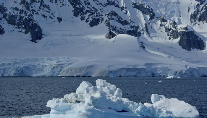 North Pole above freezing in sign of 'sudden' and 'very serious' climate change