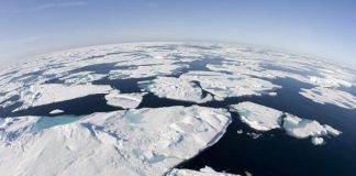 'Extraordinarily hot' Arctic temperatures alarm scientists