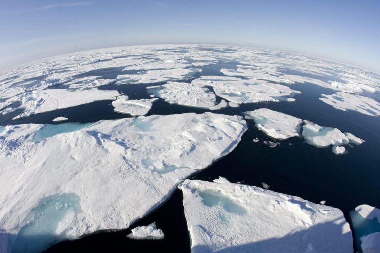 ‘Extraordinarily hot’ Arctic temperatures alarm scientists