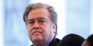 Steve Bannon and his ideas