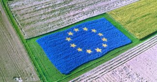 The consequences of the EU’s international trade agreements for the European Agricultural Economy