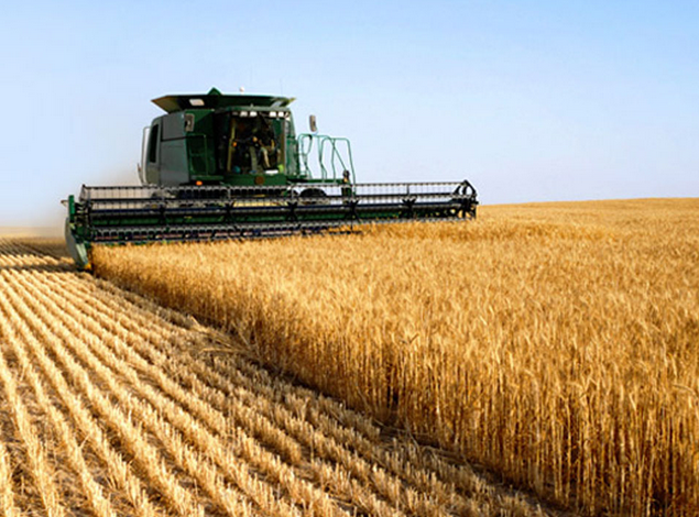 UK farmers call for more conciliatory stance at Brexit talks