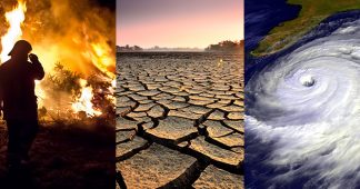 The consequences of climate change