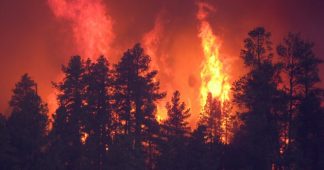 Intensified Forest Fires: The New Western Travesty