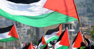 Grande marche de solidarité:  STOP ANNEXION  PALESTINE VIVRA