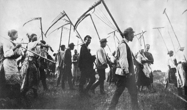 Decree on Land
