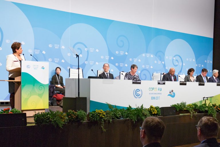 The United Nations Climate Change Conferences & action by citizens | by Wayne Hall
