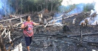 Borneo – Island devasted, people oblivious