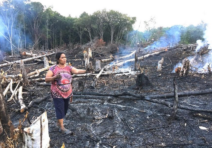 Borneo – Island devasted, people oblivious