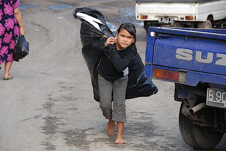 Capitalism reduced Indonesian cities to infested carcases
