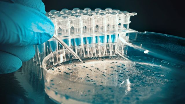 US lifts ban on funding creation of lethal viruses