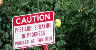 Pesticide Suicide | by Robert Hunziker
