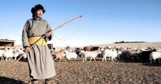 How Mongolia’s nomads are adapting to climate change