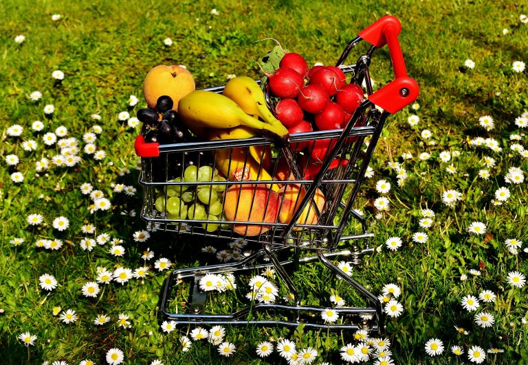 Comment l’industrie agro-alimentaire et la grande distribution asphyxient le monde agricole