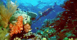 Unesco Lauds Belize’s Efforts to Preserve Coral Reef, Removes from Endangered List