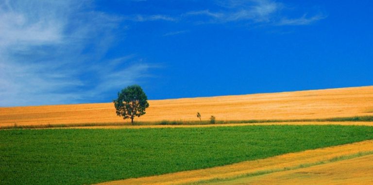 Marxism and Ecology