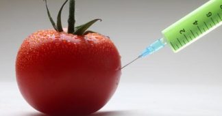 Putin Reasserts Non-GMO Stance; Adds Western Vaccines and Fast Foods