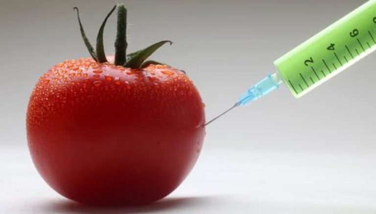 Putin Reasserts Non-GMO Stance; Adds Western Vaccines and Fast Foods
