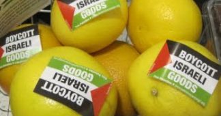 Irish senate approves ban on products from Israeli settlements