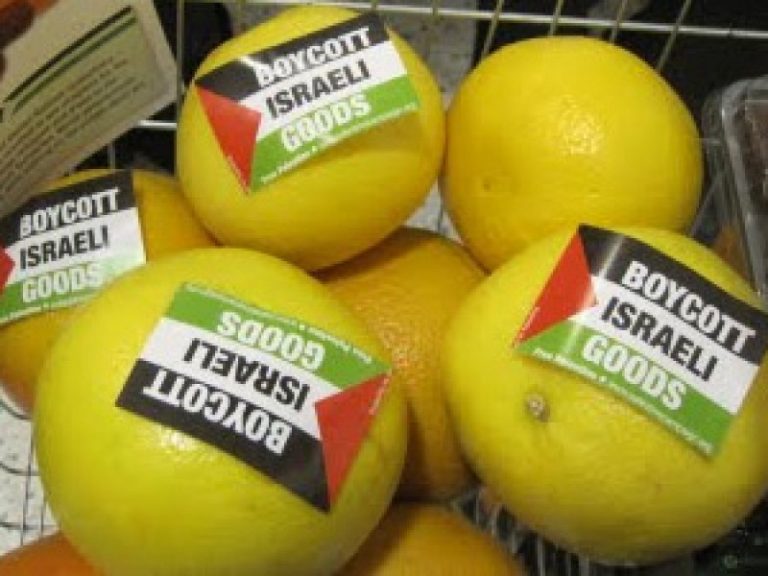 Irish senate approves ban on products from Israeli settlements