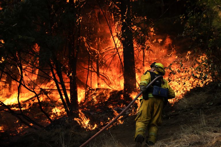 Deadly wildfires and killer heatwaves are ripping through the planet from Athens and Sweden to Los Angeles and Japan