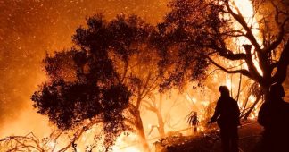 Climate Scientist: California Wildfires Are Faster, Stronger, Deadlier & Will Continue to Intensify