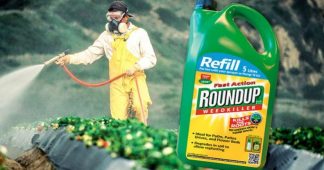 How Monsanto is killing us