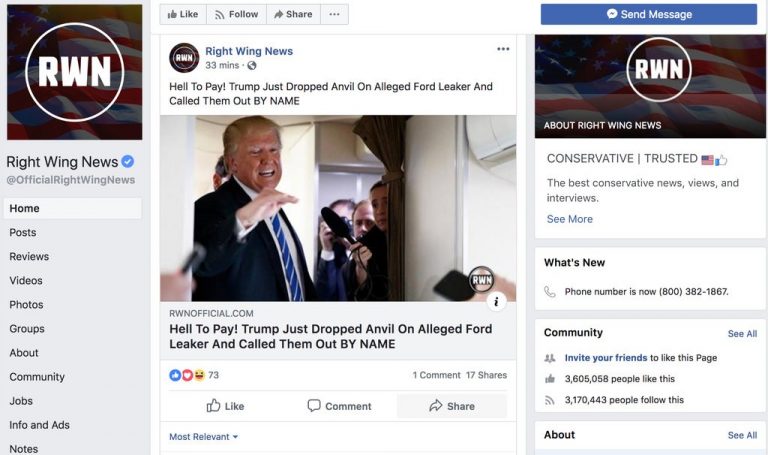 Made and Distributed in the U.S.A.: Online Disinformation