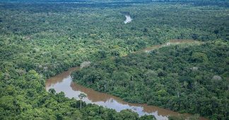 L’Amazonie, convoitée par l’agrobusiness et l’industrie minière, en danger imminent avec l’élection de Bolsonaro