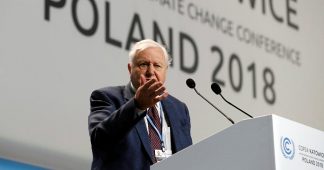 Sir David Attenborough warns of ‘collapse of civilisations’ at COP24 summit