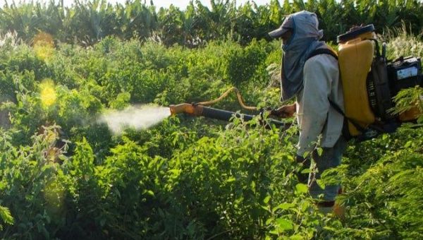 Monsanto is poisoning the human race