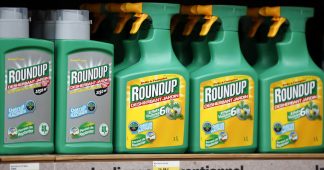 EU approval of glyphosate weed killer was based on ‘plagiarized’ Monsanto studies