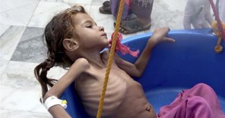 Yemen to face worst humanitarian crisis of 2019: UN