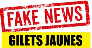 12 fake news macronistes sur les Gilets jaunes | par Laurent Dauré