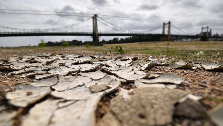 Last four years were hottest on record: UN
