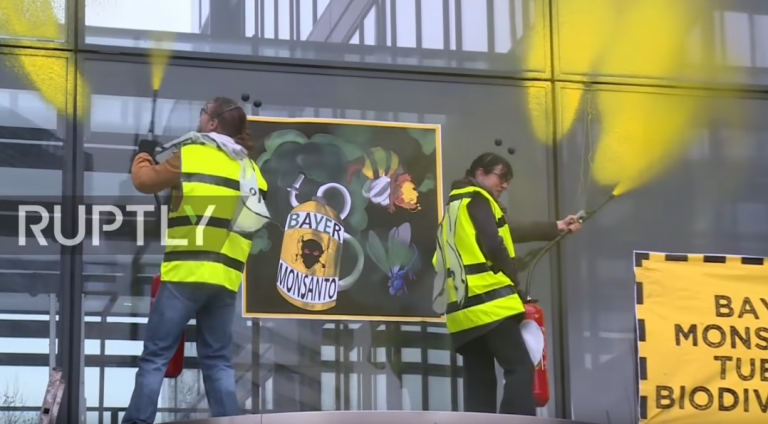 Yellow Vests and Ecologists converge against Bayer-Monsanto