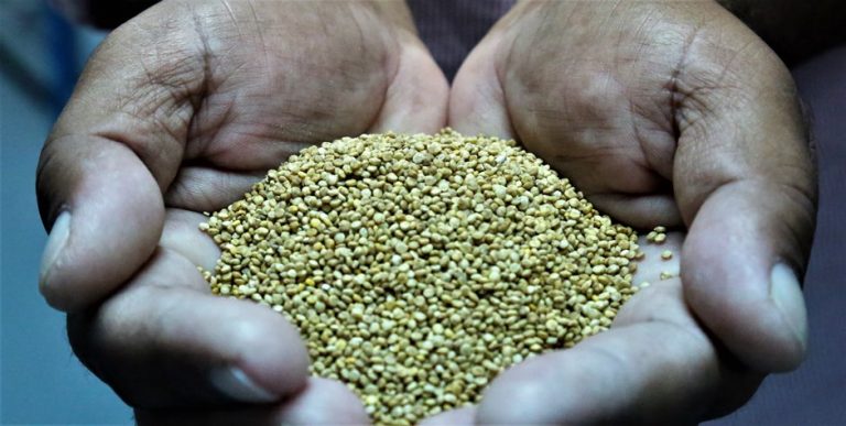 HOW QUINOA IS TAKING OVER THE WORLD — IN 100 COUNTRIES AND COUNTING