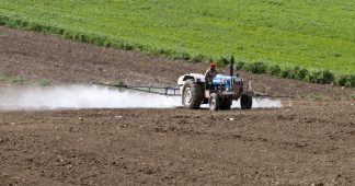 EPA Refuses to Ban Dangerous Pesticide Chlorpyrifos Linked to Brain Damage in Children